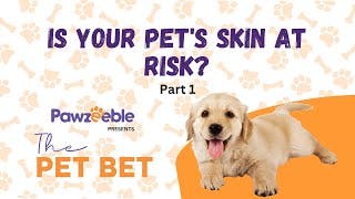 Expert Vet Shares Shocking Dermatology Secrets You Need to Know! - Part 1