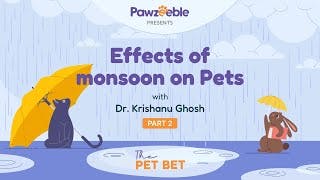 The Pet Bet with Dr. Krishanu Ghosh - Part 2 | Rains & Risks