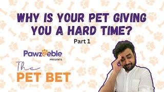 Transform Your Pet's Behavior with These Expert Tips! | The Pet Bet : Pet Behavior - Part 1