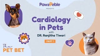 Dr. Ranjitha Tiwari: Part 1 | Heart Matters: Exploring Pet Cardiology