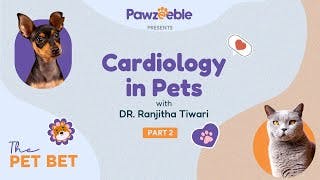 Dr. Ranjitha Tiwari: Part 2 | Heart Matters: Exploring Pet Cardiology