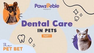 Dr. Hitesh Swali: Part 1 | Beyond the Brush: Elevating Your Pet's Dental Care Routine!