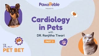 Dr. Ranjitha Tiwari: Part 3 | Heart Matters: Exploring Pet Cardiology