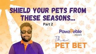 Is Your Pet Safe? Expert Reveals Top Seasonal Diseases You Need to Watch Out For! Part - 2